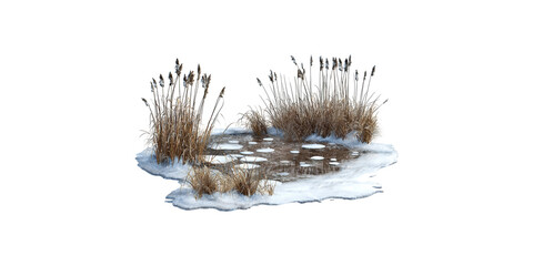 Frozen pond with reeds and ice isolated on transparent background
