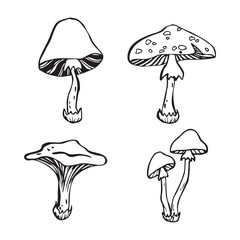 mushrooms, vector illustration set, collection of different types of mushroom black outline contour, isolated on white background