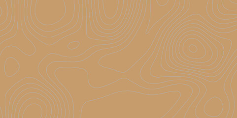 Grey wave topography curved reliefs geography contour map linear abstract color background, vector landscape geographic mountain relief topography art line map texture pattern background.