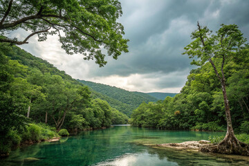 Serene river flowing through lush green forest valley under dramatic sky.