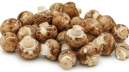 Fototapeta premium Shimeji Mushrooms Clustered Together Showcasing Their Nutty Flavor and Culinary Versatility