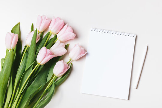 Light pink blooming tulips flowers bouquet and open empty notebook on white table background. Woman working desk, spring holiday banner, happy easter card, mothers day. Flat lay, top view, copy space