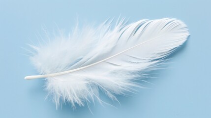 Fluffy White Feather Gently Floating on a Serene Light Blue Background Creating a Calming Visual Experience
