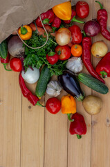 Fresh Organic Vegetables in Paper Bag on Wooden Background