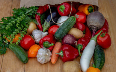 Fresh Organic Vegetables in Paper Bag on Wooden Background