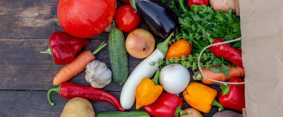 Fresh Organic Vegetables in Paper Bag on Wooden Background