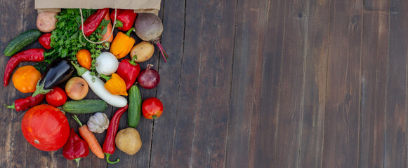 Fresh Organic Vegetables in Paper Bag on Wooden Background