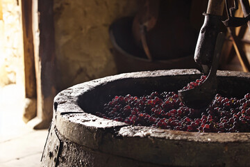 historic grape crushing demonstration in stone vat
