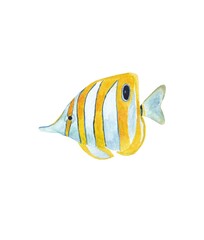 Naklejka premium Watercolor illustration of tropical butterfly fish