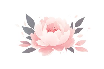 Soft Petals of a Peony Blossom on White Background.