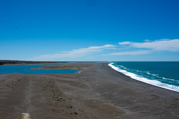 Fototapeta premium Península Valdés Argentina, Puerto Madryn Patagonia