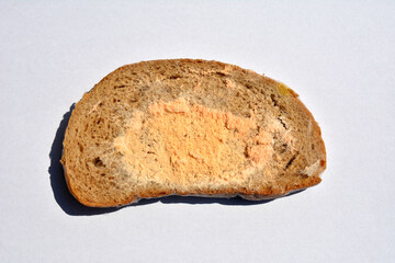 moldy bread due to violation of storage conditions