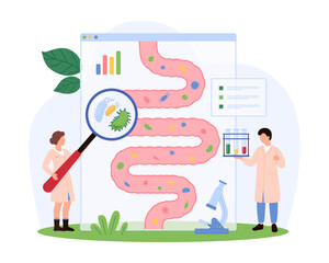 Tiny people examining beneficial gut flora, focusing on digestive health and microbiome balance, exploring bacteria positive impacts vector illustration.