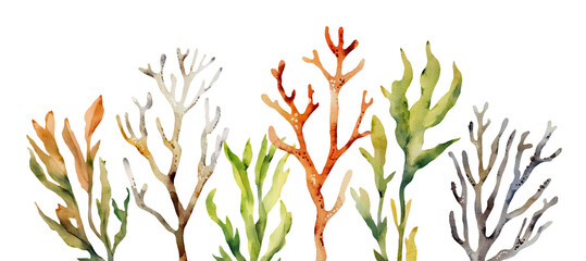 watercolor illustration border with sea corals and algae on white background © Lana