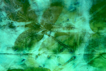 Multicolored Leaf Texture Background – Ecoprint Natural Pattern in High-Resolution