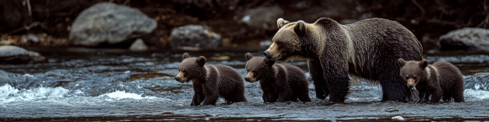Obraz premium A bear and three cubs wade through a river with rocks in the background. Concept of wildlife in natural habitat. For wildlife conservation content.