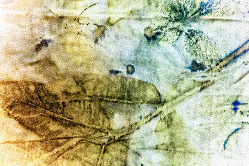 Multicolored Leaf Texture Background &ndash; Ecoprint Natural Pattern in High-Resolution