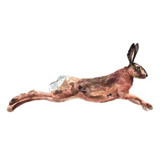 Vector freehand watercolor illustration of a cute brown bunny, isolated on a white background. Hand drawn watercolour Hare. Soft, detailed, and perfect for designs or prints