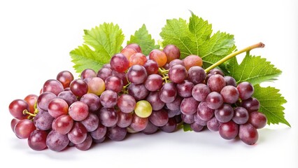 Fototapeta premium Red Grapes with Vine