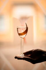 Male bartender hand holding a tall stemmed glass in his palm
