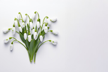 Snowdrop Flowers Arranged on White Background with Green Stems and Leaves