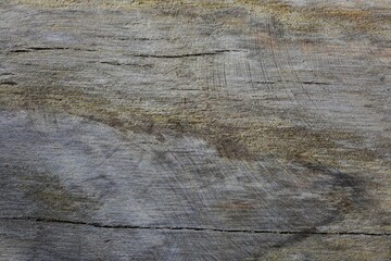 Old light brown shabby rotten wooden board with cracks and grooves texture background closeup
