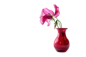 Elegant pink flowers gracefully arranged in a vibrant red vase against a clean white background isolated on transparent background