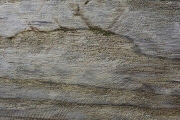 Old light brown shabby rotten wooden board with cracks and grooves texture background closeup