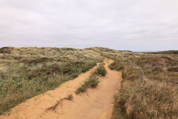 Fototapeta premium Blick auf das Morsumer Kliff auf der Nordseeinsel Sylt