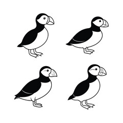 Set of puffin sea bird vector illustration