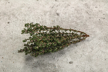 Fresh green Thyme branch isolated