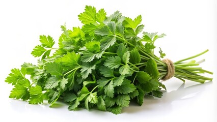 Obraz premium Fresh Parsley Bunch