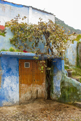 Ancient entrance to blue house with overhanging vines in Chefchaouen, Morocco 