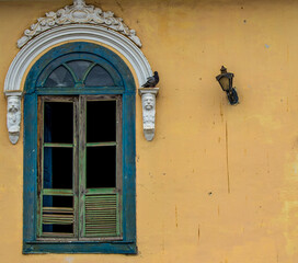 Pigeon of the Columba livia species perched on a decorated white frieze of a blue window of an old house on an orange wall with an old metal lamp

