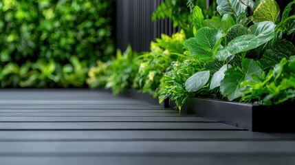 Lush green vertical garden beside modern deck