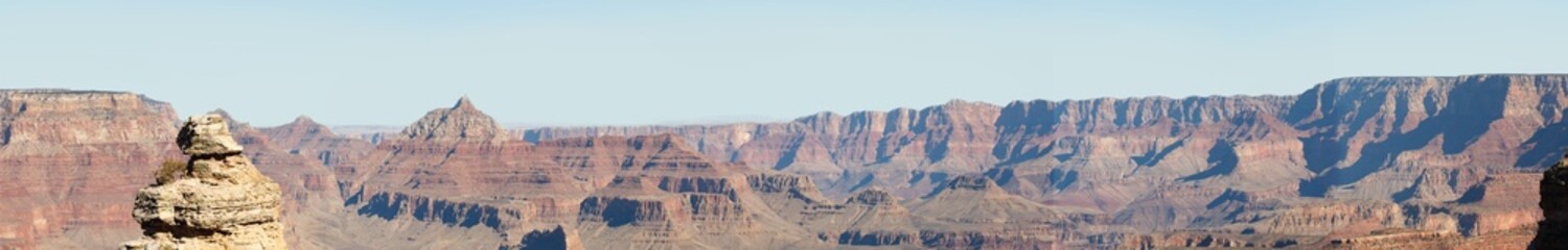 Duck on a Rock Point