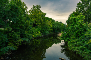 Fototapeta premium Reflected Green in the Stream