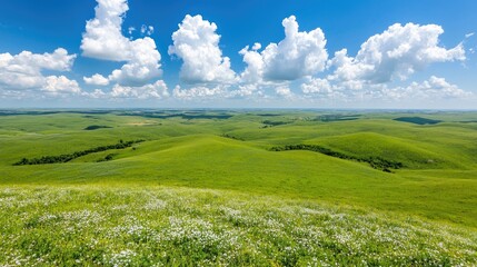 Fototapeta premium Rolling green hills under a blue sky with fluffy clouds; scenic landscape for travel brochures