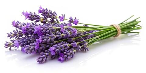 Lavender Bouquet