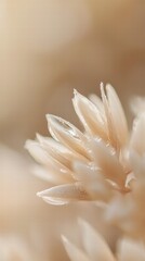 Fototapeta premium Dreamy macro view of a water droplet on a flower petal
