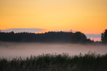 A tree branch is silhouetted against a sky with a pink and orange sunset. The sky is hazy and the sun is low on the horizon. Nature background. Calm and relaxing mood. Nobody.