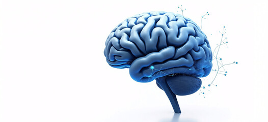 3d rendered illustration of human brain isolated on white background. 