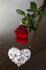 red rose with snow heart