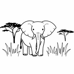 Fototapeta premium elephant in the grass