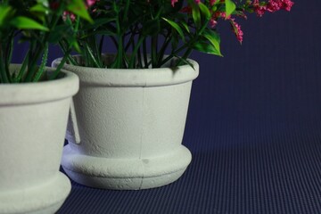 flower pots with green flowers on dark background