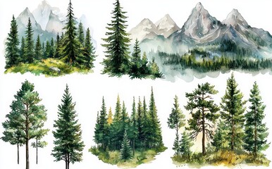 Fototapeta premium A watercolor depiction of a forest tree. Picturesque mountain scenery. Pine trees in a woodland setting. A lush green forest