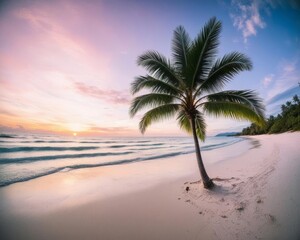 Palm-Lined Shore at Sunset Glow