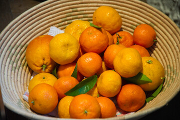 basket of citrus fruits, oranges and mandarins, Agrumi