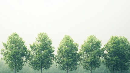 illustration with green trees set isolated on light background
