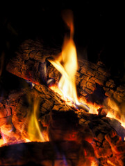 Feu de bois
